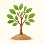 Baum zur Taufe: Ideen, Bedeutung und passende Geschenke baum zur taufe