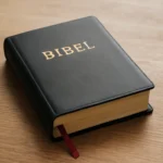 bibel gratis seriös