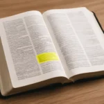 bibel verse kurz